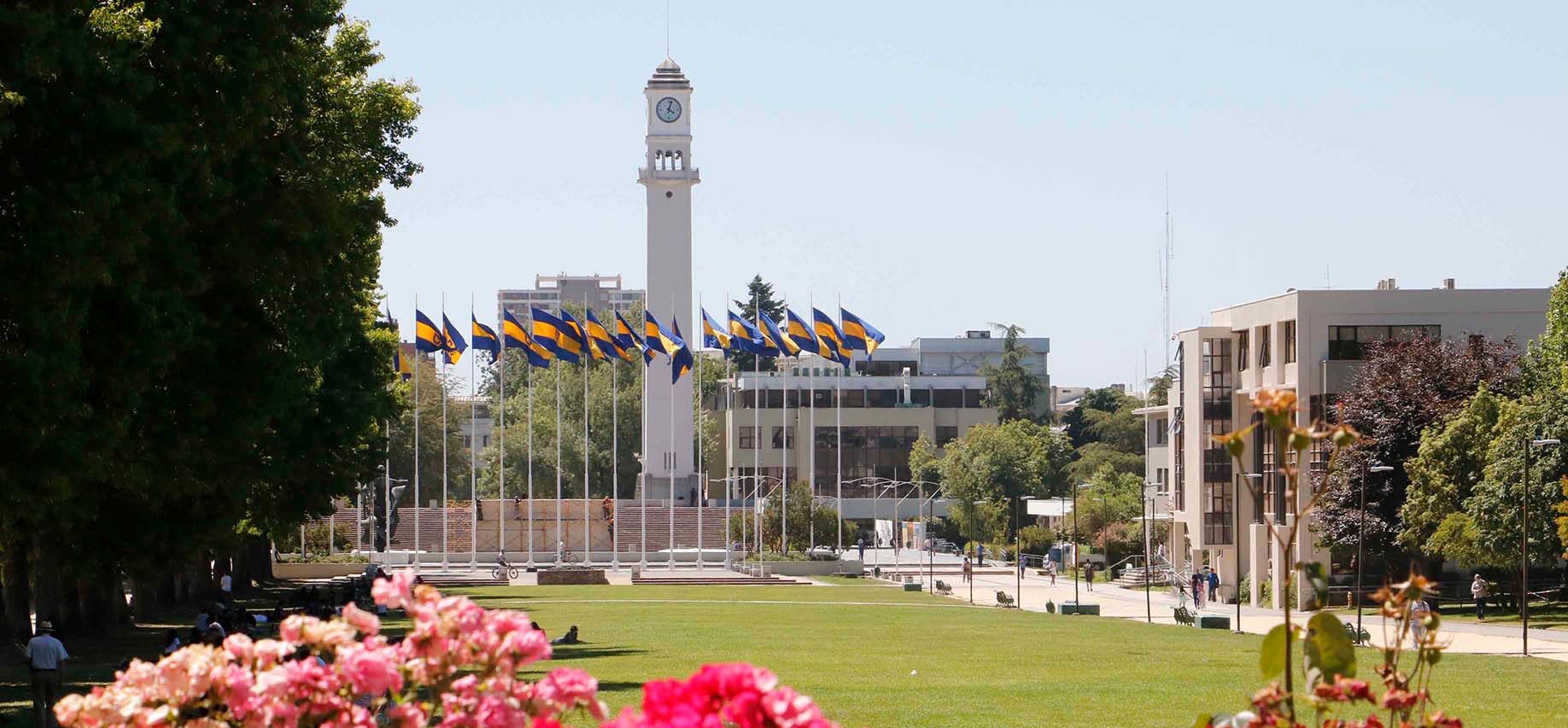 Fotografia del Campanil de la universidad de concepci&oacute;n en un d&iacute;a soleado de verano. Visto desde la biblioteca central.